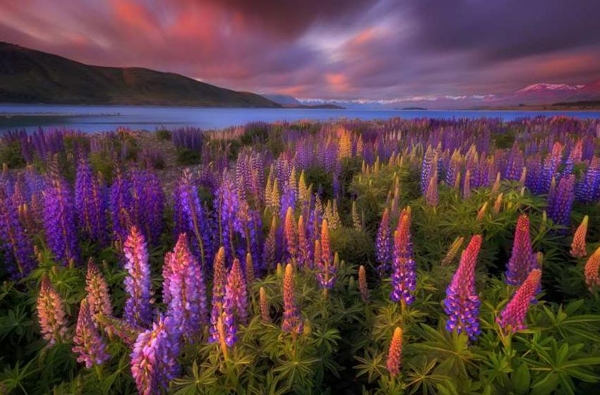 Patrick Marson Ong