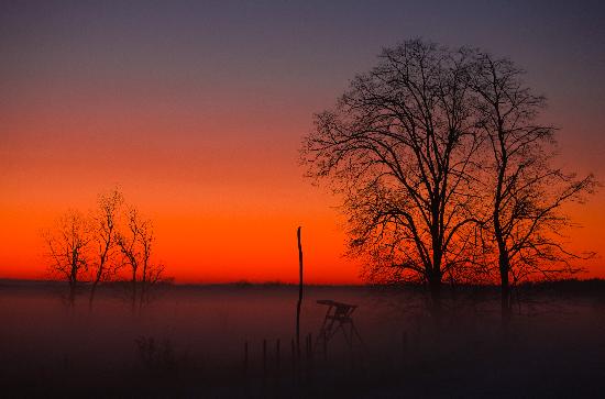 Farbenprächtiger Abendhimmel in Brandenburg von Patrick Pleul