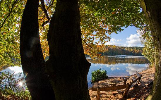 Herbst im Schlaubetal von Patrick Pleul