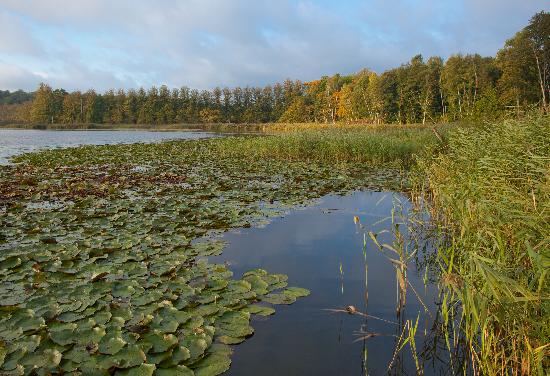 Herbst in der Uckermark von Patrick Pleul