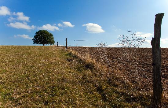 Landschaft der Uckermark von Patrick Pleul