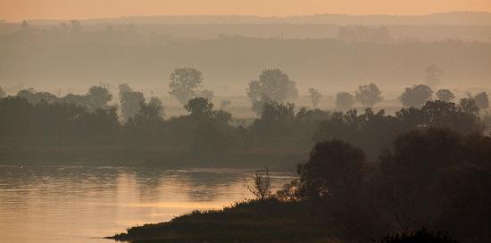 Morgennebel an der Oder von Patrick Pleul