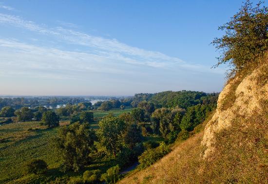 Morgenstimmung an der Oder von Patrick Pleul