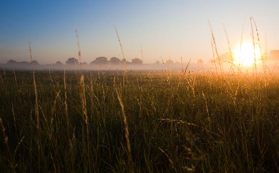 Sonnenaufgang in Brandenburg von Patrick Pleul