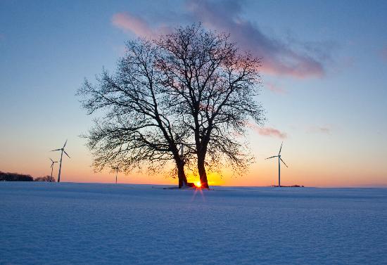 Sonnenuntergang in Brandenburg von Patrick Pleul