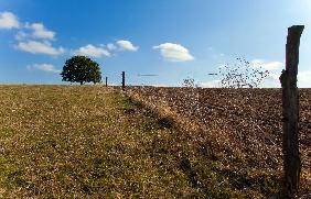 Landschaft der Uckermark