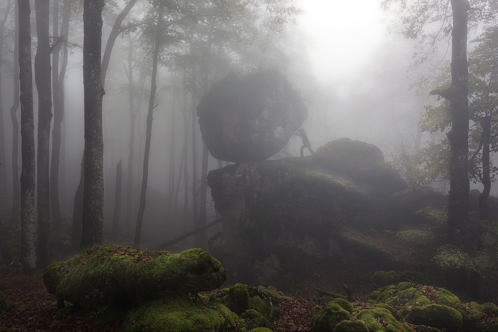 Contrataque de la Naturaleza von Patxi Pérez