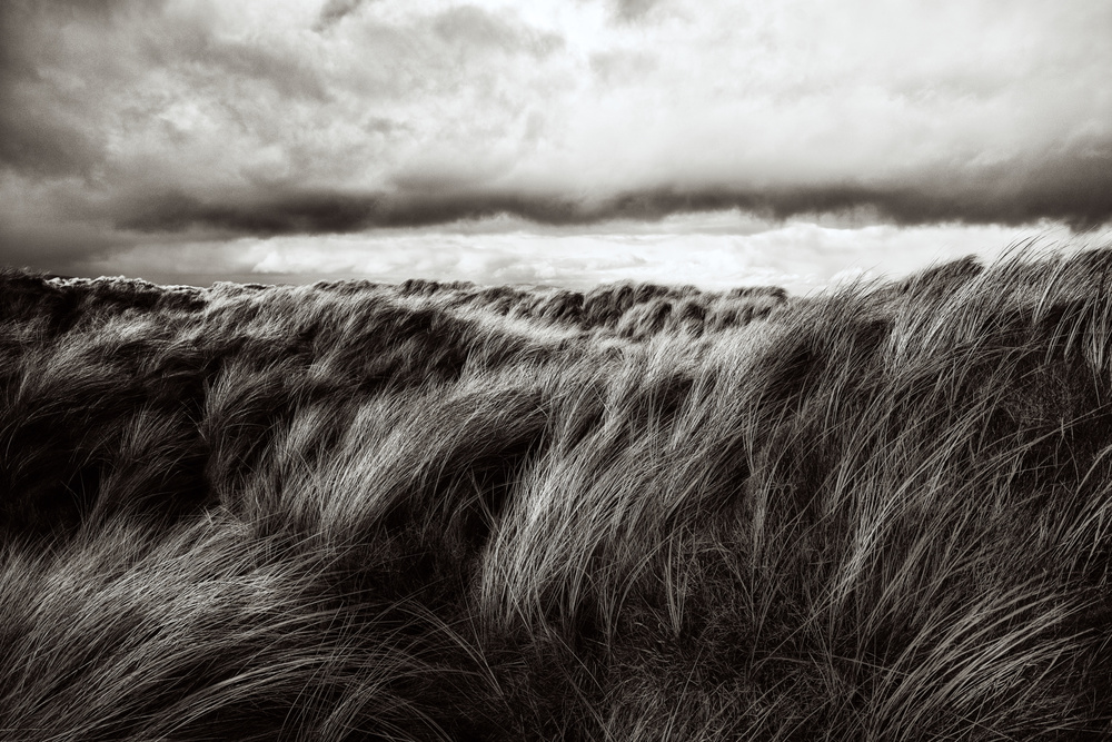 Dunes of grass von Paul