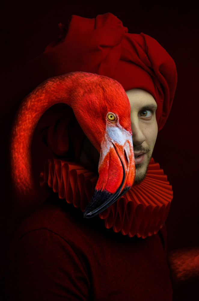 Red Flamingo von Paul Adrian Chis