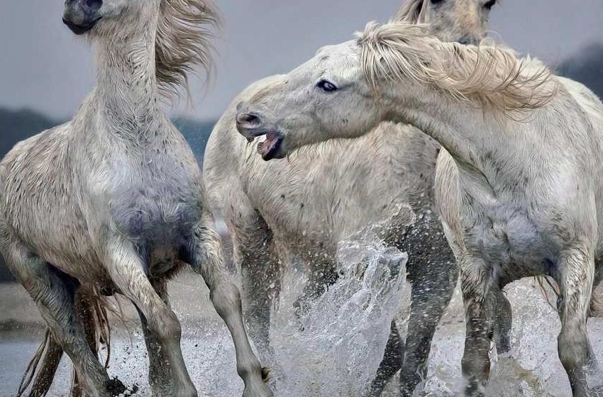 Paul Keates