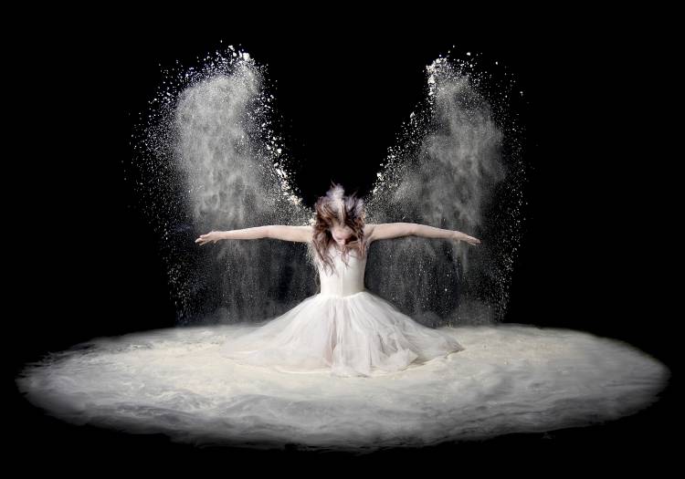 Dust Wings von Pauline Pentony BA