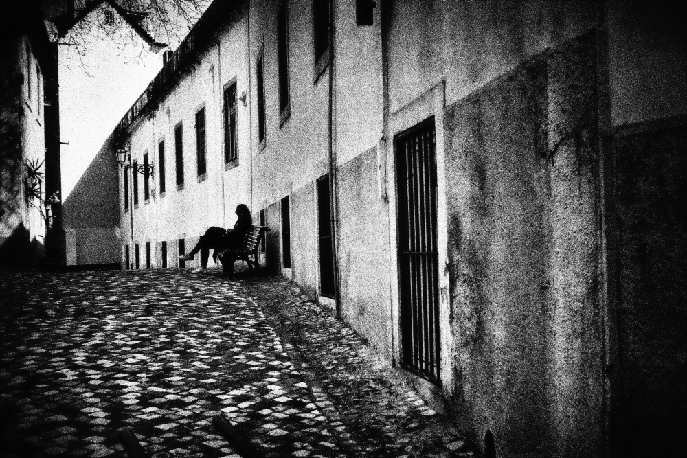 Blackbird von Paulo Abrantes