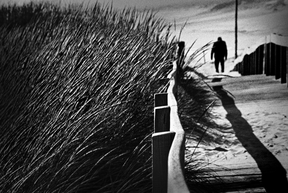 A Place to Survive von Paulo Abrantes