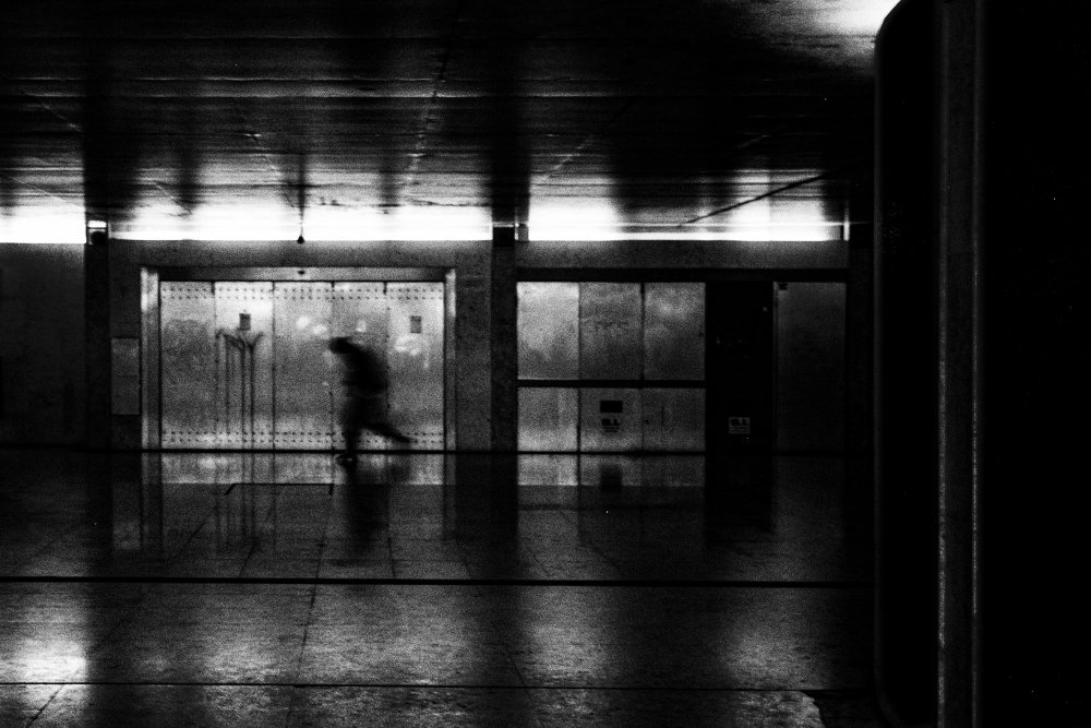 Flee von Paulo Abrantes