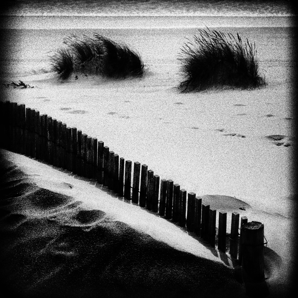 Gataway von Paulo Abrantes