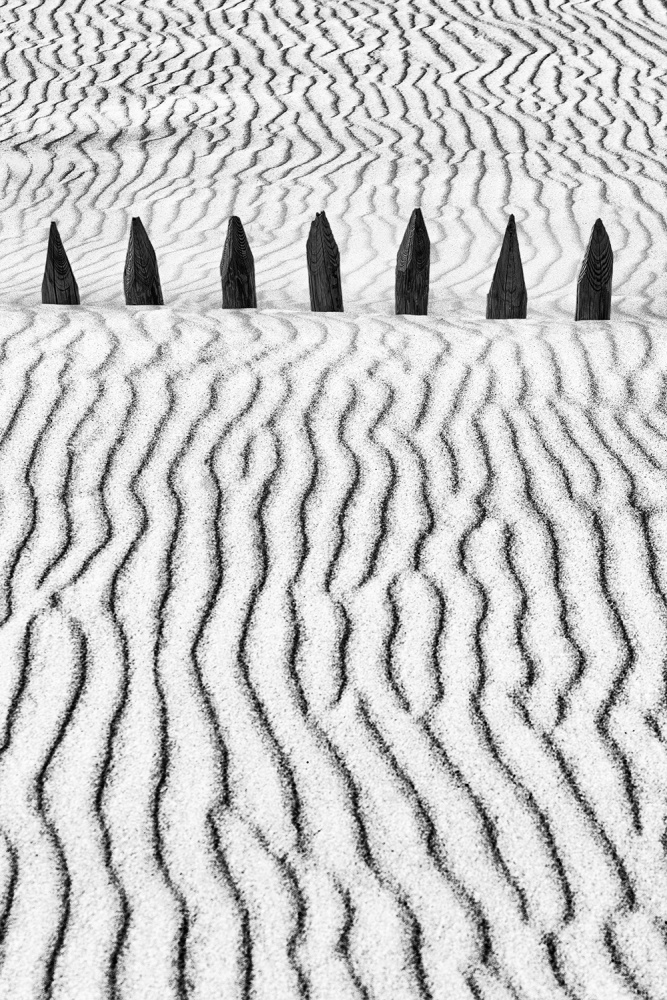 Little Silver Silence von Paulo Abrantes