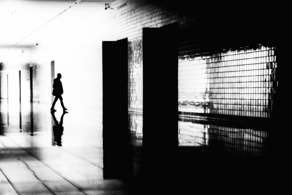 Shadow on the Run von Paulo Abrantes