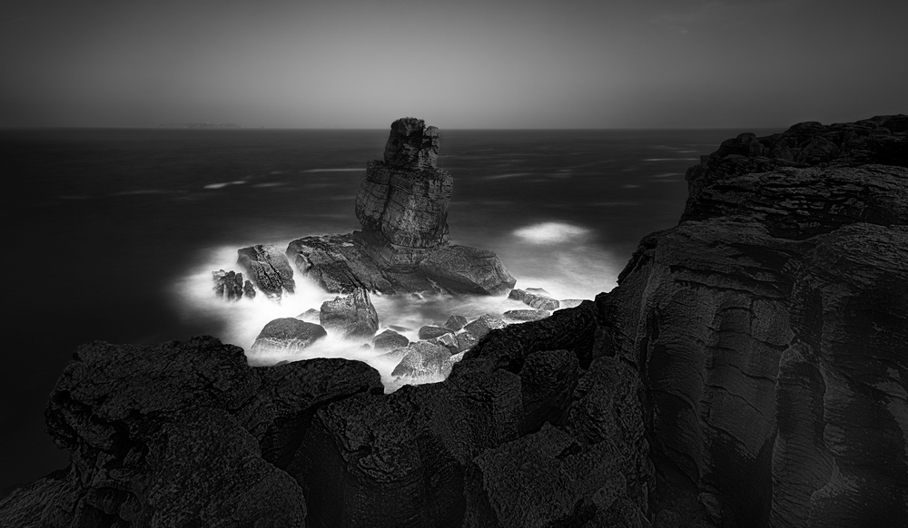 Sea Horse von Paulo Abrantes