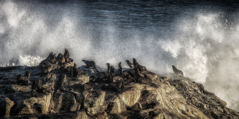 morning shower on diaz point von Pavol Stranak