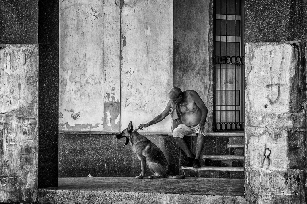 gentle boys von Pavol Stranak