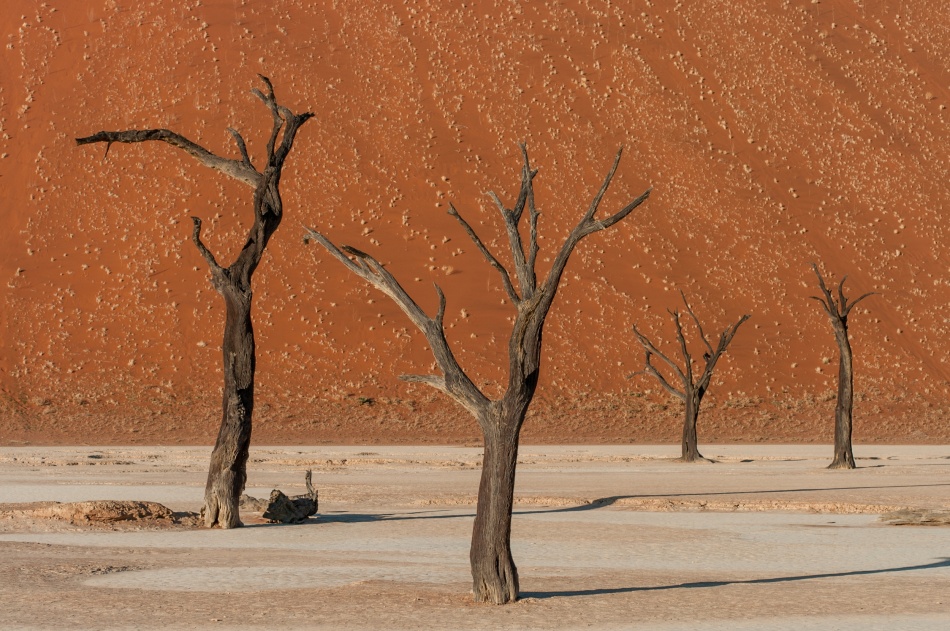 dead dancers von Pavol Stranak