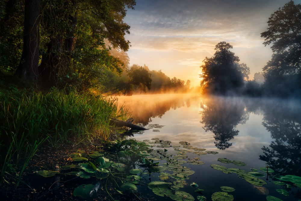 Enchanted pond von Pawel Kado