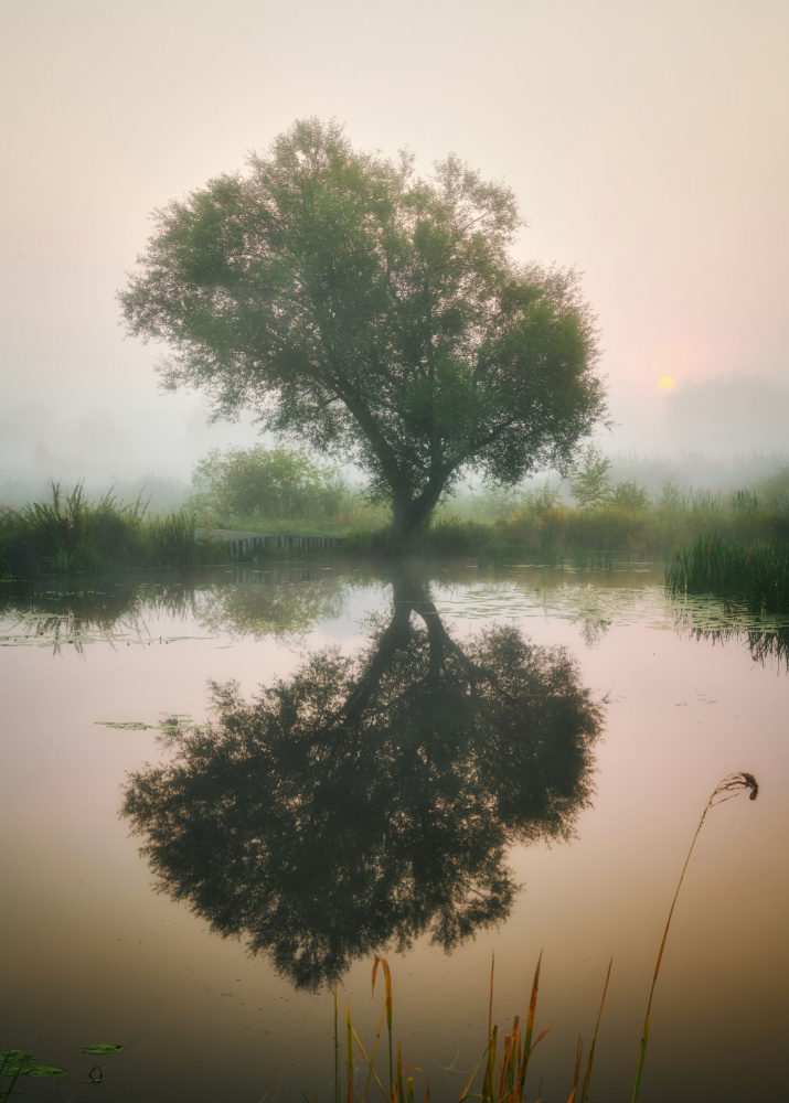 Waiting for autumn von Pawel Kado