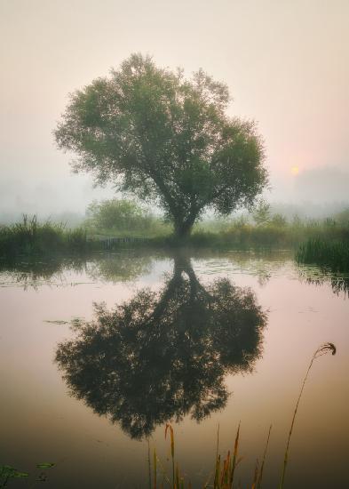 Waiting for autumn