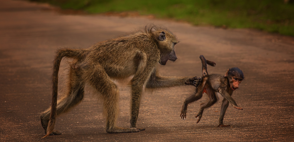 Did you look left and right back there? von Peet van den Berg