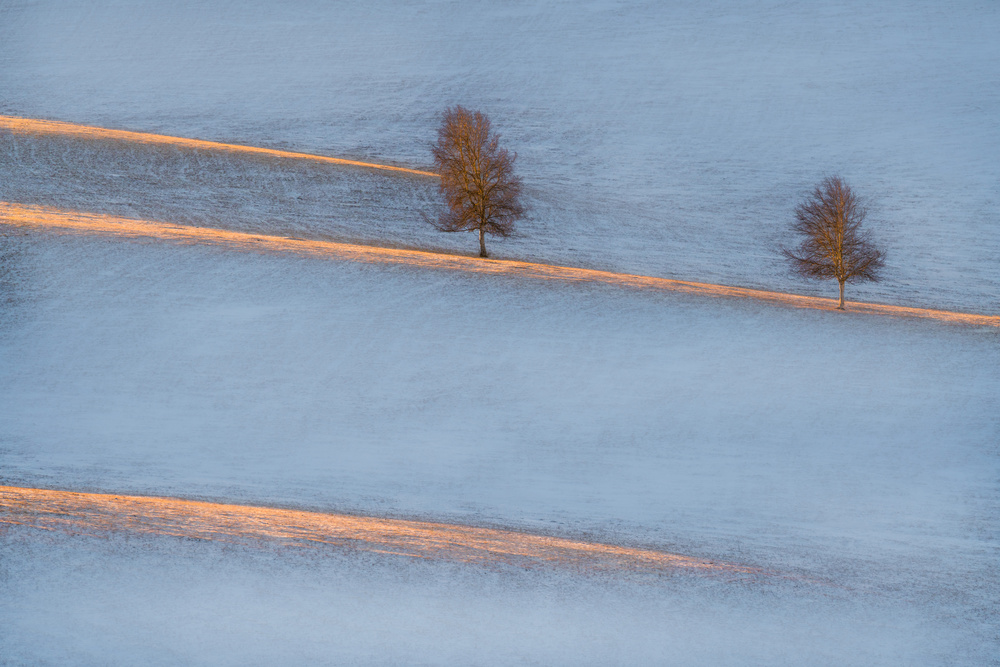 Light traces von Petar Sabol