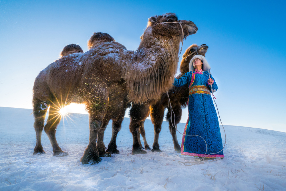 Girl and camels von Petar Sabol