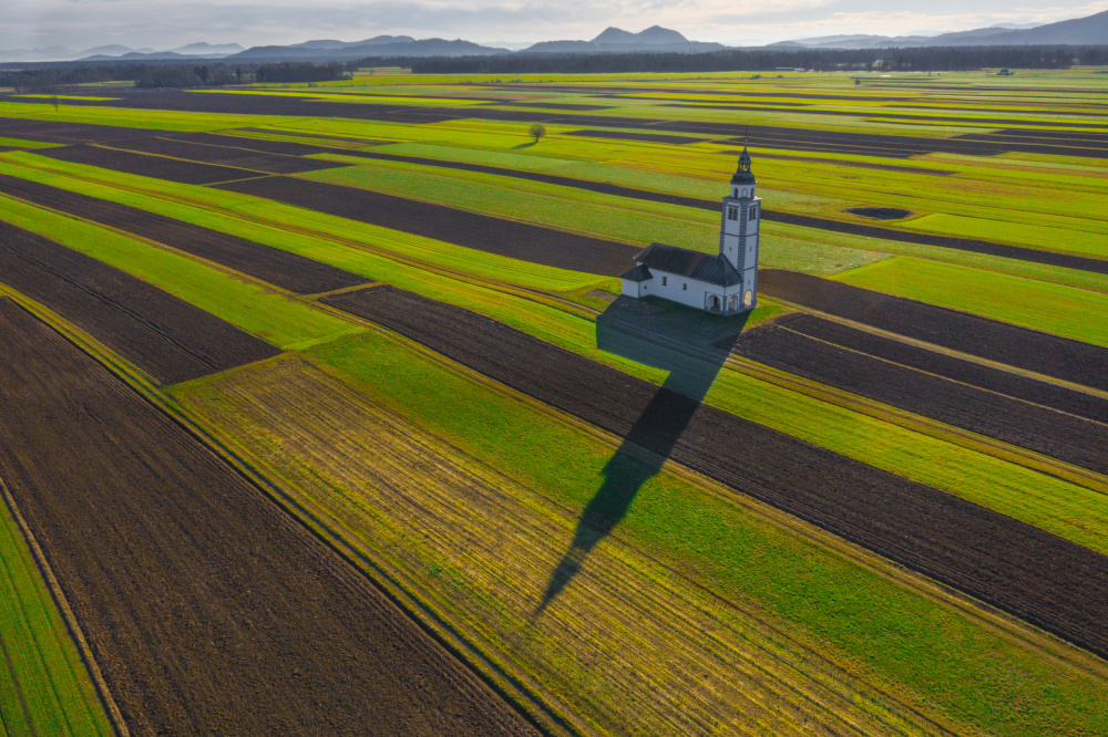 Shadow on the field von PETER BALANTIC