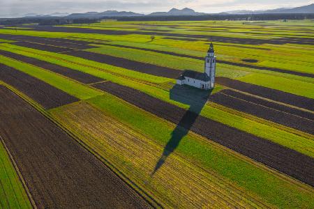 Shadow on the field