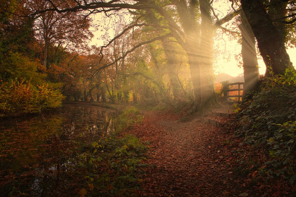 Sunset by the Canal von Peter Davidson