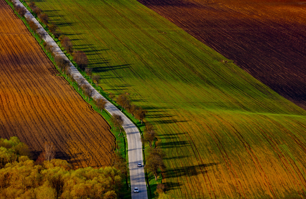 Spring lines von Peter Hrabinsky