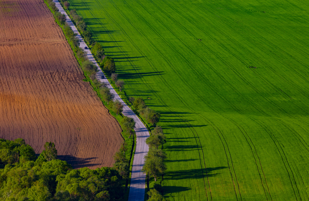 Summer lines von Peter Hrabinsky