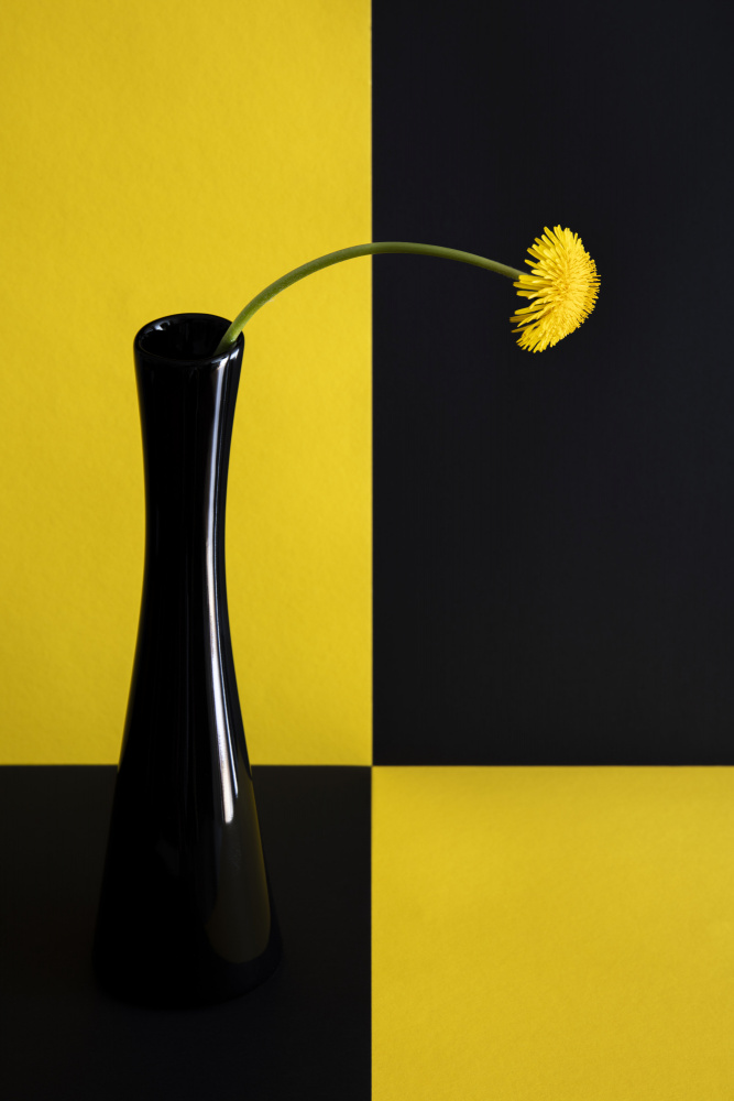 Still life with dandelion von Peter Hrabinsky