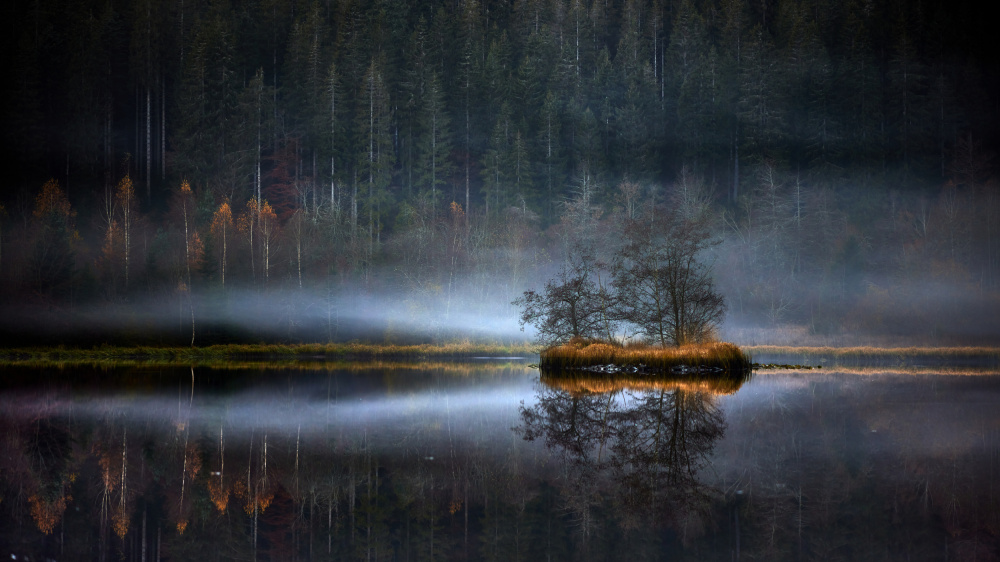 Foggy day von Peter Schade