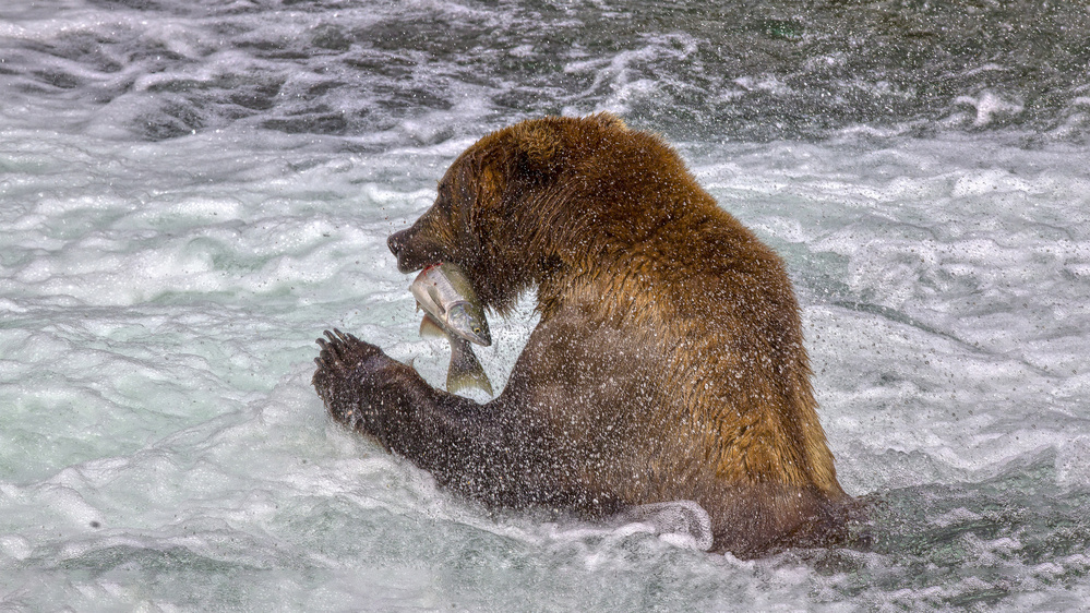 A Good day fishing von Peter Stahl