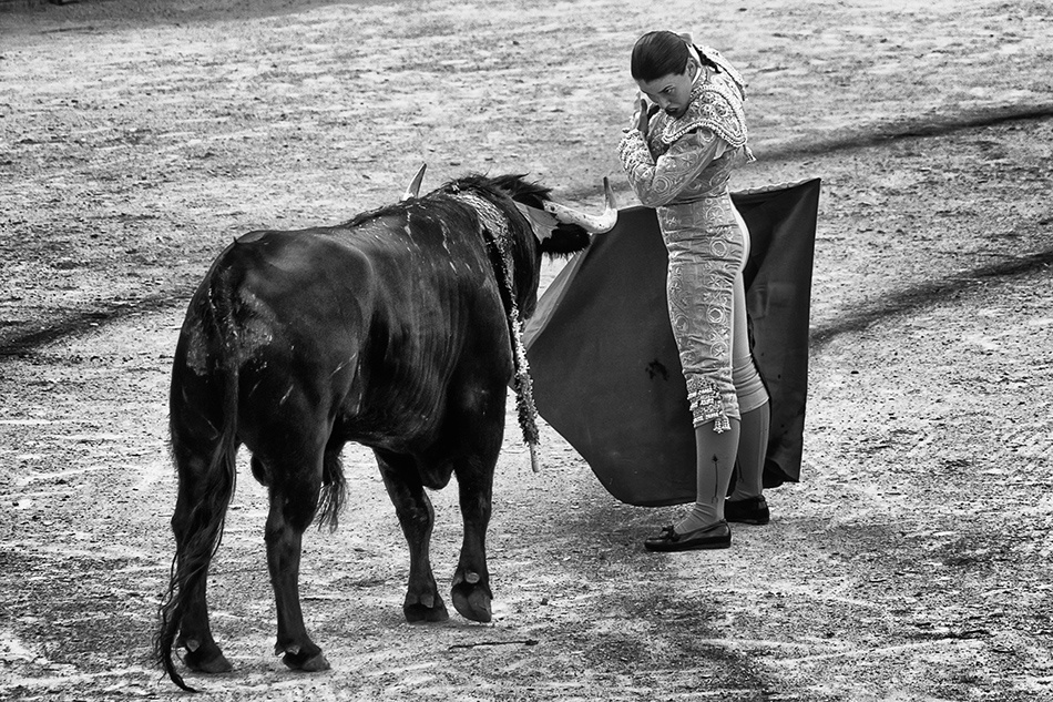 Face to face von Peter Sticza