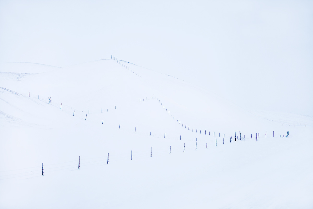 #3 Sketched by the wind: Fences von Peter Svoboda MQEP