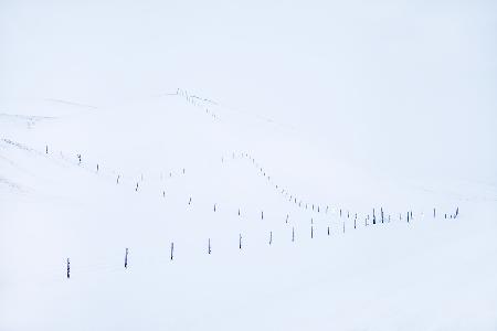 #3 Sketched by the wind: Fences