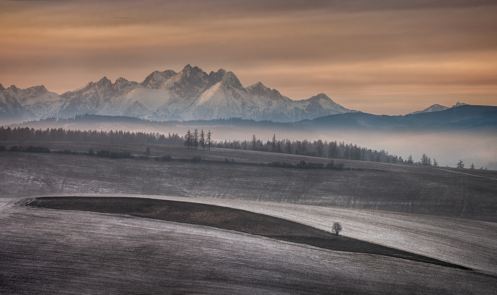 As autumn left the fields von Peter Svoboda MQEP