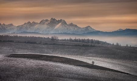 As autumn left the fields