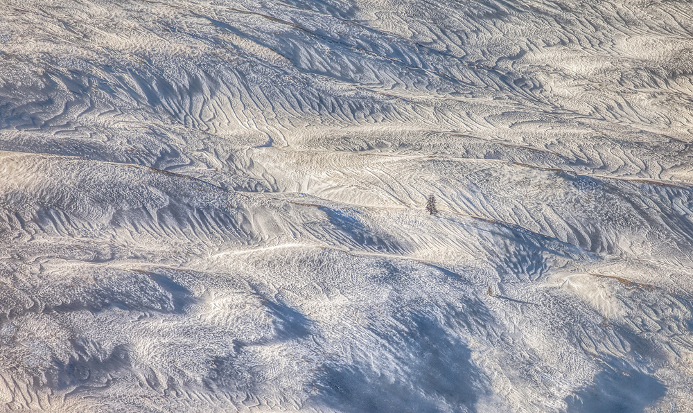 Facing the winds von Peter Svoboda MQEP