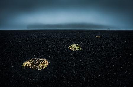 Dune islands in the black desert