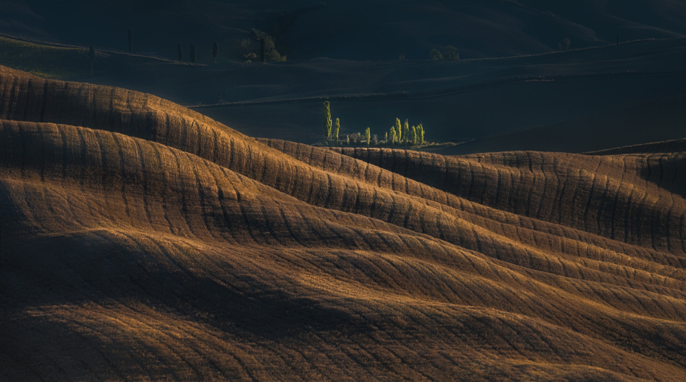 Fields of gold von Peter Svoboda MQEP