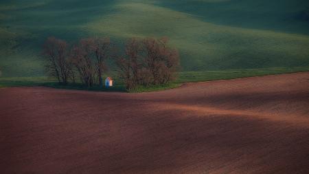 Chapel in the fields