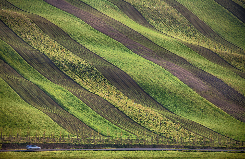 Stripes in the fields von Peter Svoboda MQEP