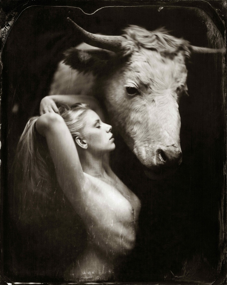 Irene and Bull study 2 von Peter van Hal